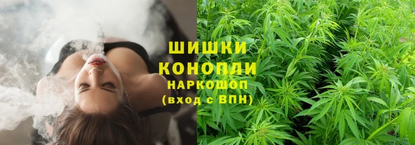 Альфа ПВП Лиски