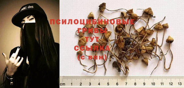 бутират Липки