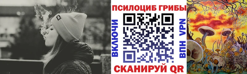 закладка  Красково  Галлюциногенные грибы мухоморы 